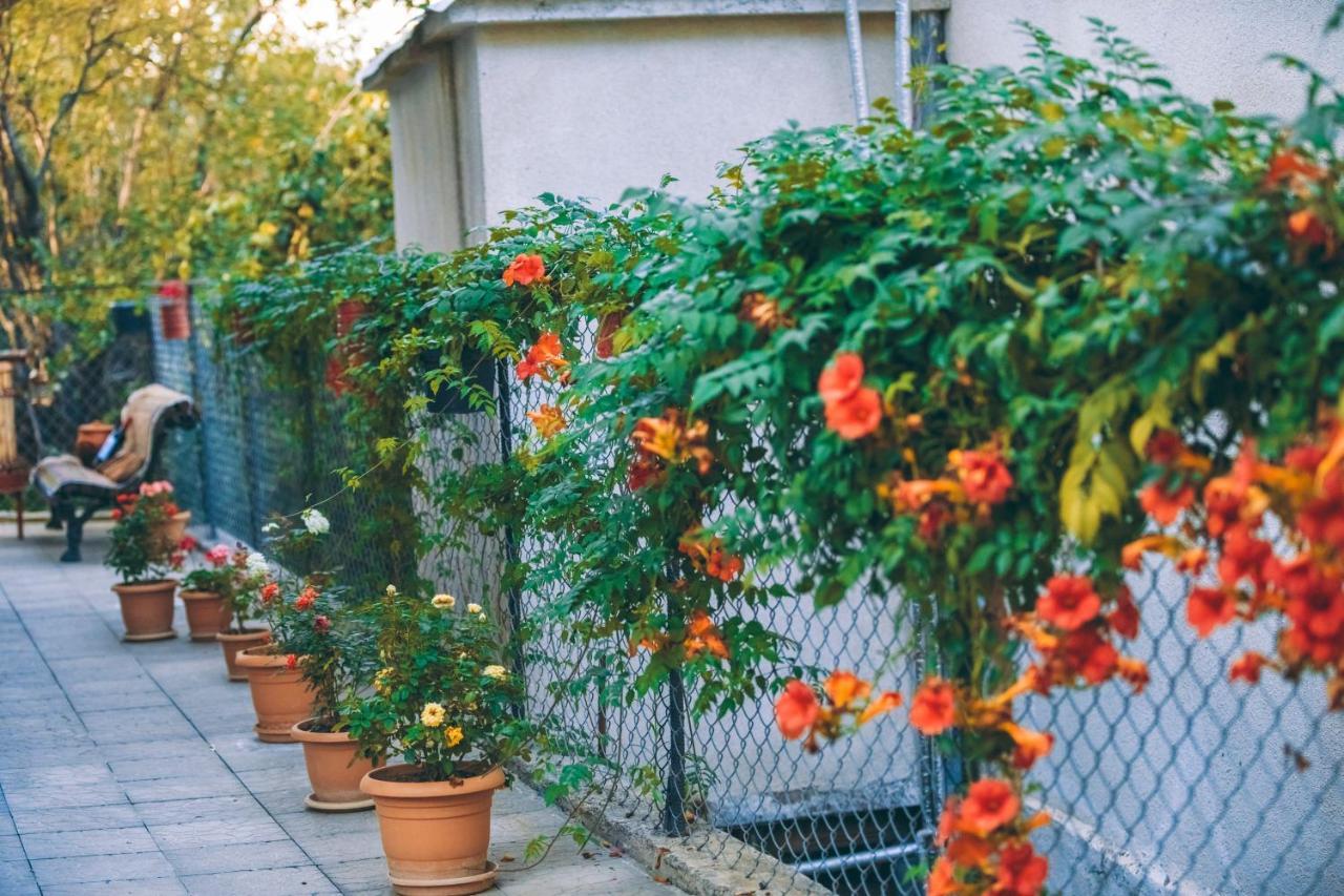 Makos Guest House Кутаиси Екстериор снимка